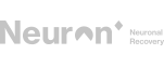 Neuron